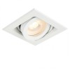 Single Tilt Downlight